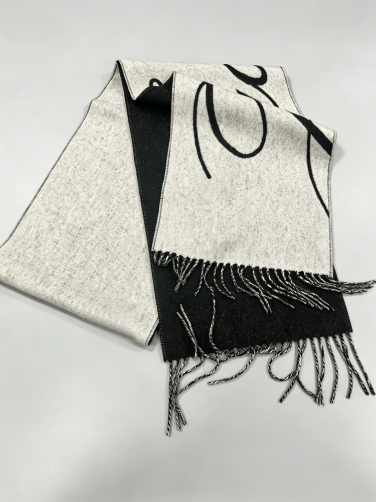 Elegant Letter Print Long Tassel Scarf Soft Warm Shawl Winter Neck Wrap for Men Women - 51309267