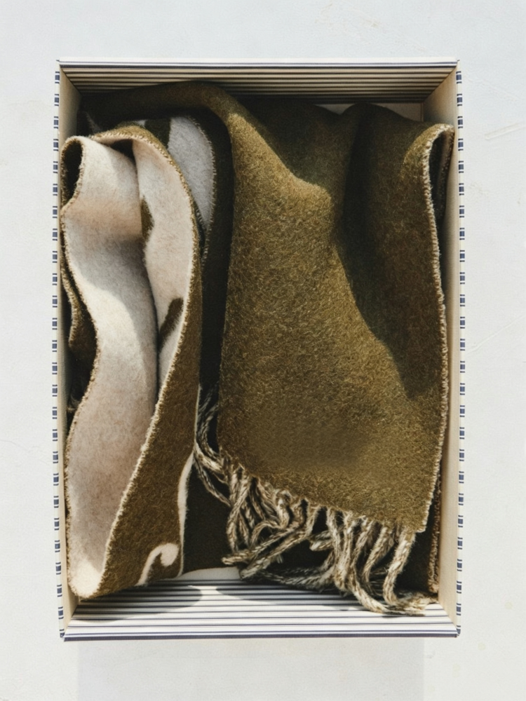 Elegant Letter Print Long Tassel Scarf Soft Warm Shawl Winter Neck Wrap for Men Women - 51309267