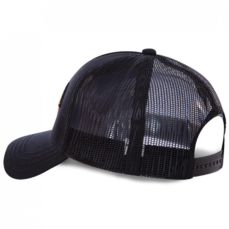 Baseball Cap with Lettering, Sun Protection Mesh Embroidery