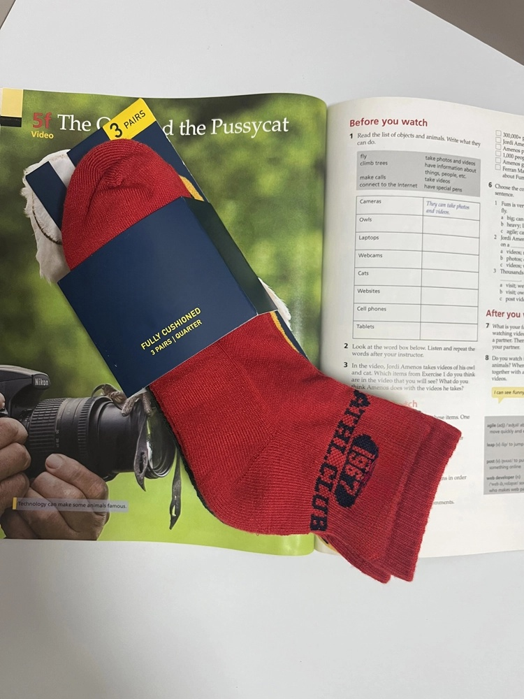 Autumn/Winter Letter Print Cotton Mid-Calf Socks(3 pairs)